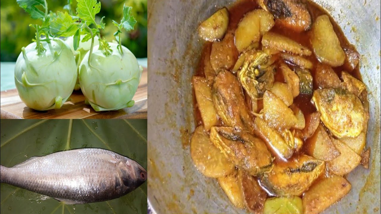 শীতকালীন সবজি শালগম দিয়ে ইলিশ মাছের মজার রেসিপি / Shalgom ilish mach recipe @taslimanoor2504 
