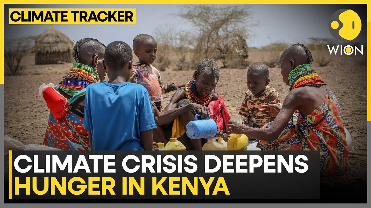 Kenya: Climate Crisis Deepens Hunger in Kenya | Turkana Drought Worsens Amid Aid Cuts | WION
