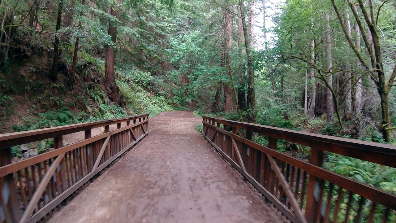 Early Morning Scenic Gravel Bike Ride in the Redwoods - 1 Hour Bicycle Trainer Ride