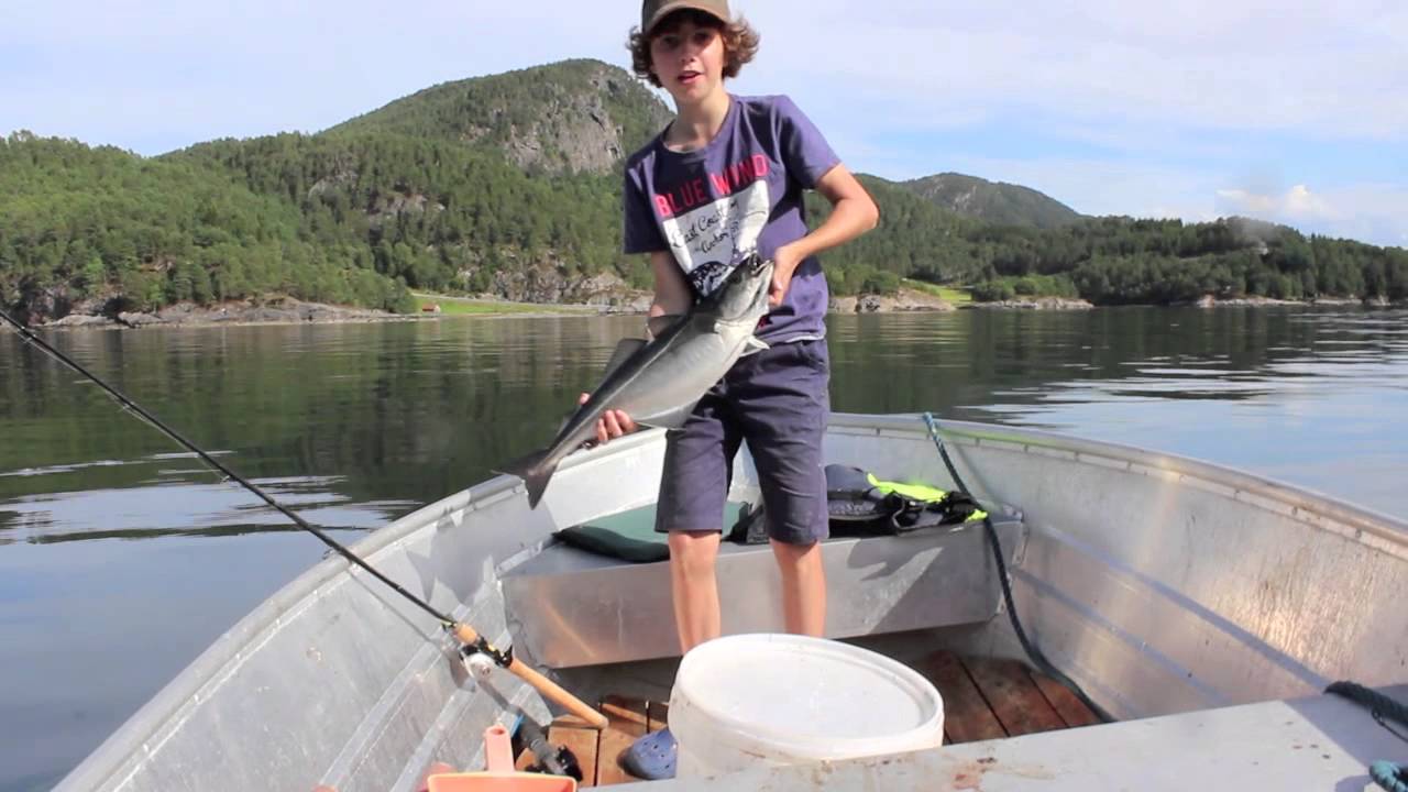 Angeln in Norwegen am Skalvikfjord - Korsnesfjord Aug.  2014