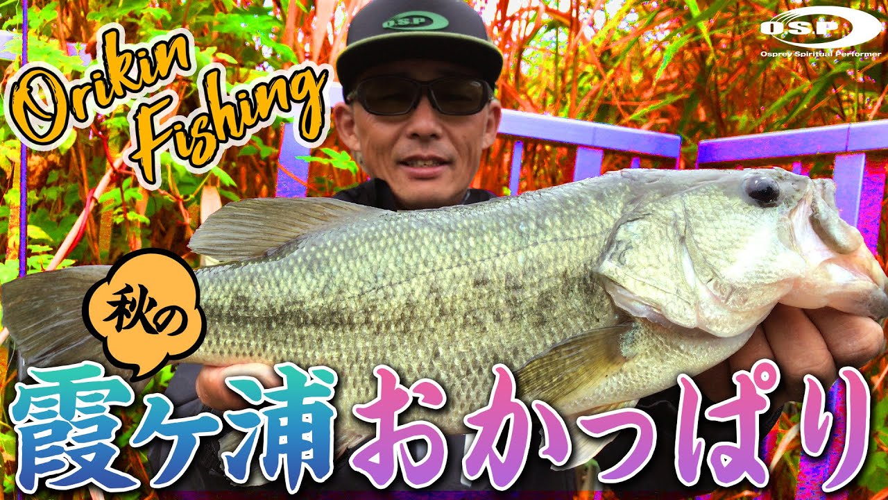 秋の霞ヶ浦おかっぱり！MMZとビーバーマグナム使い分けでグッドバスをキャッチ！【オリキンフィッシング】