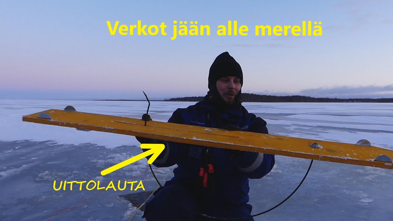 Talviverkot Merelle