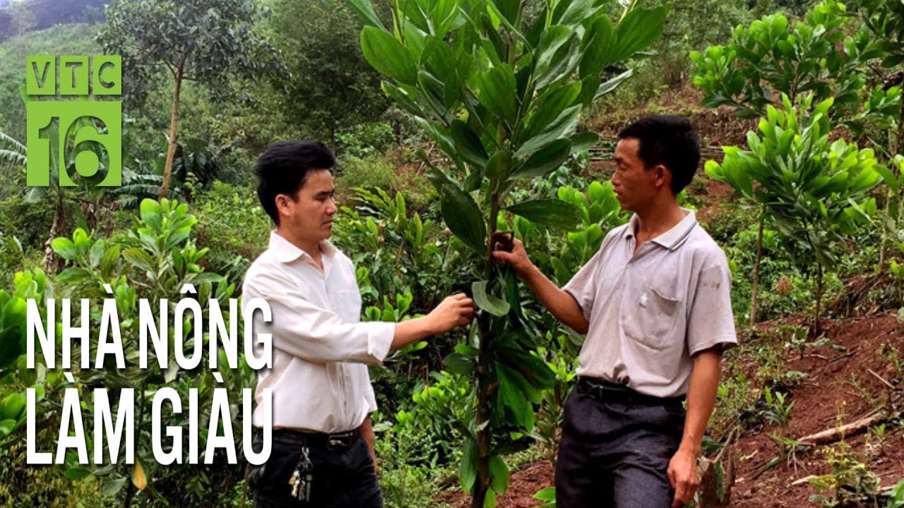 Bí quyết 