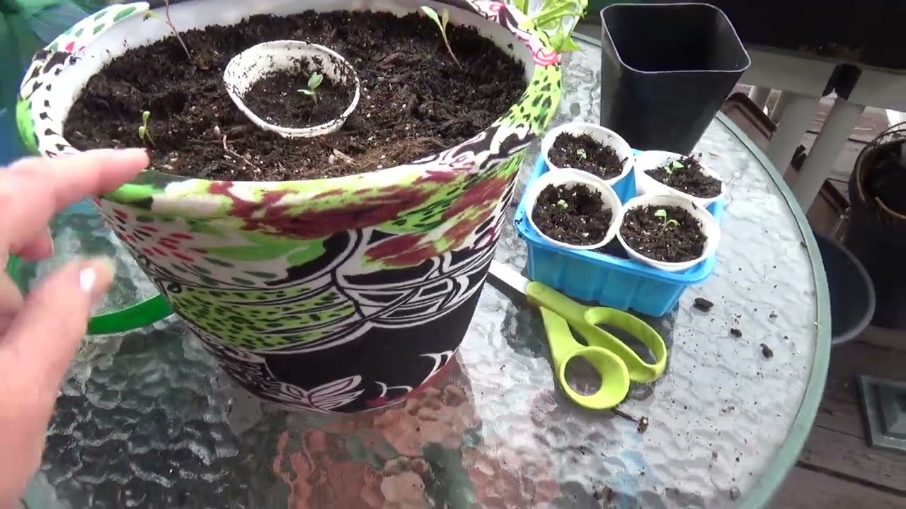 How to Setup Container Garden for $1, Start to Finish How to Fill a Planter Cheap to Grow Vegetables