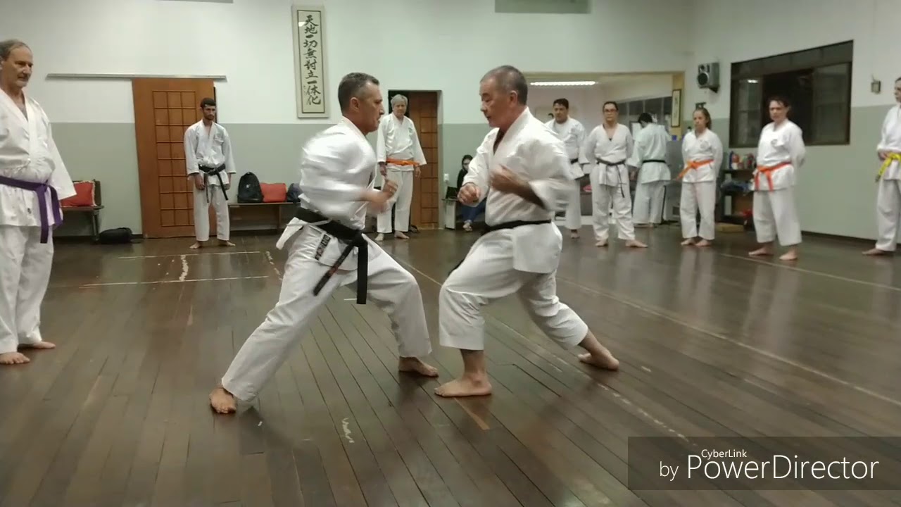 DOJO MURYOKAN KARATE-DO TRIDIMENSIONAL