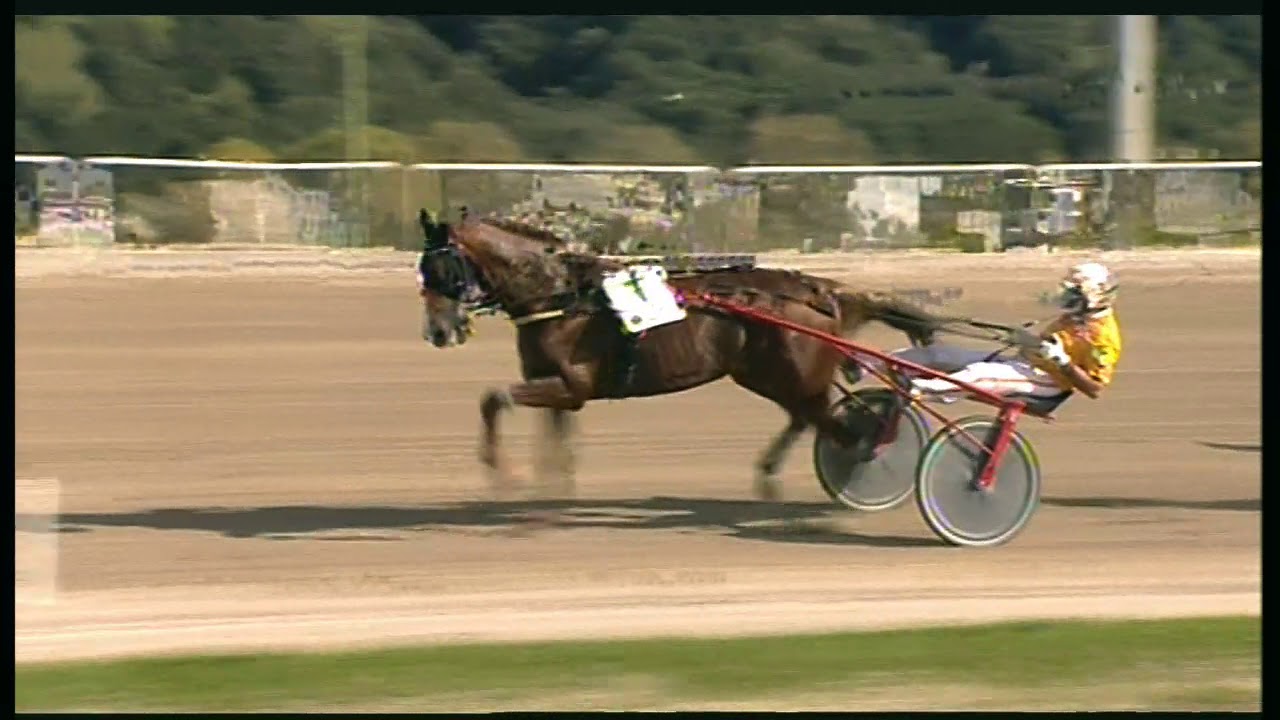 Trotto 25/10/2020 - 3ª corsa - G.P. Lotteria 2ª batteria