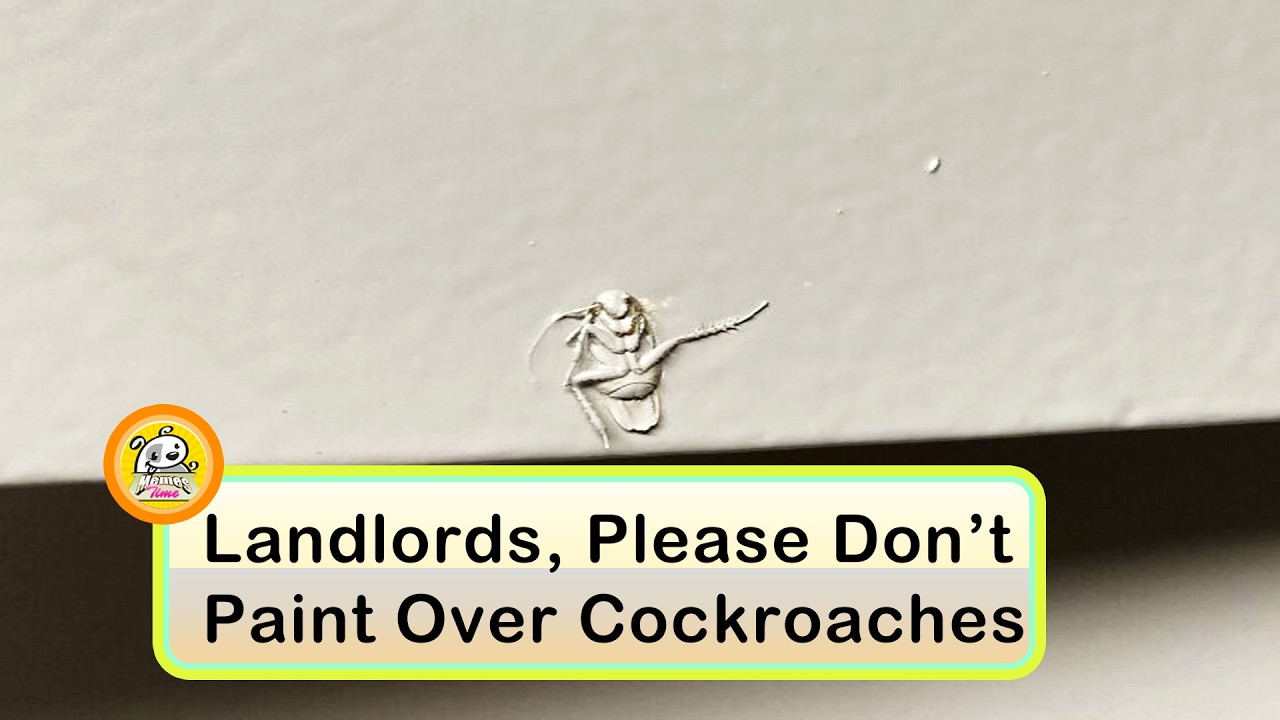Home Improvement Fails That Went Very Wrong