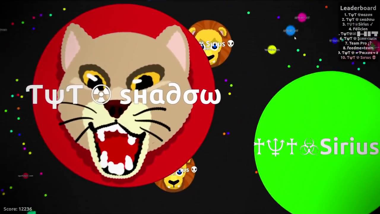 Ƭ&psi;Ƭ ☢ Sн&alpha;&part;&sigma;&omega; IS BACK!? 55,000 Mass Agario Highscore Gameplay // Agar.io TYT