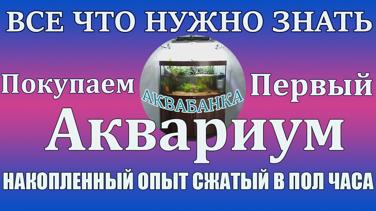 Покупаем Первый Аквариум! Советы начинающим аквариумистам .