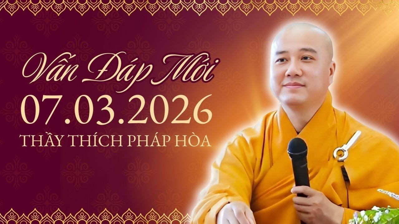 VẤN ĐÁP NGÀY 07.03.2026 | Khổ Đau Từ Đâu? Nghe Thầy Thích Pháp Hòa Phân Tích