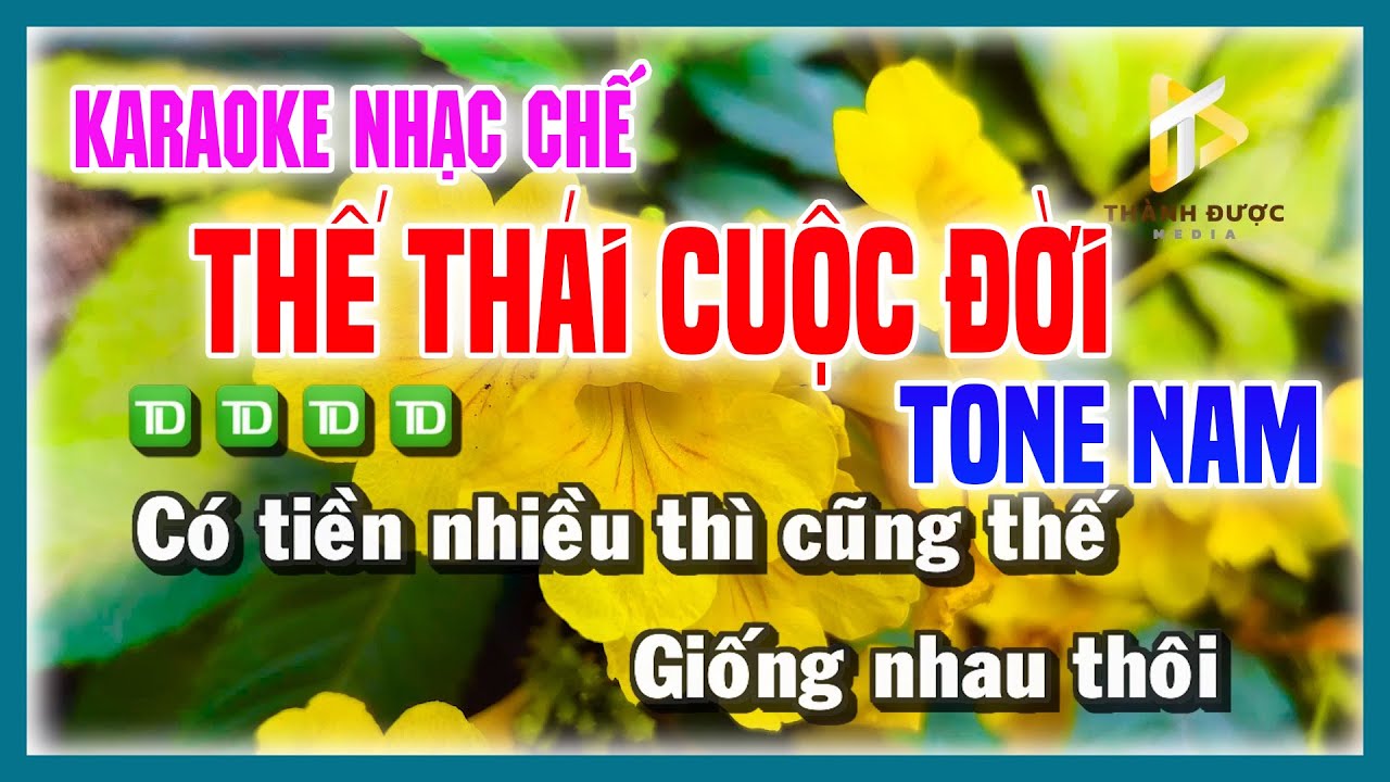 Karaoke THẾ THÁI CUỘC ĐỜI - Nhạc Chế Phật Giáo TONE NAM