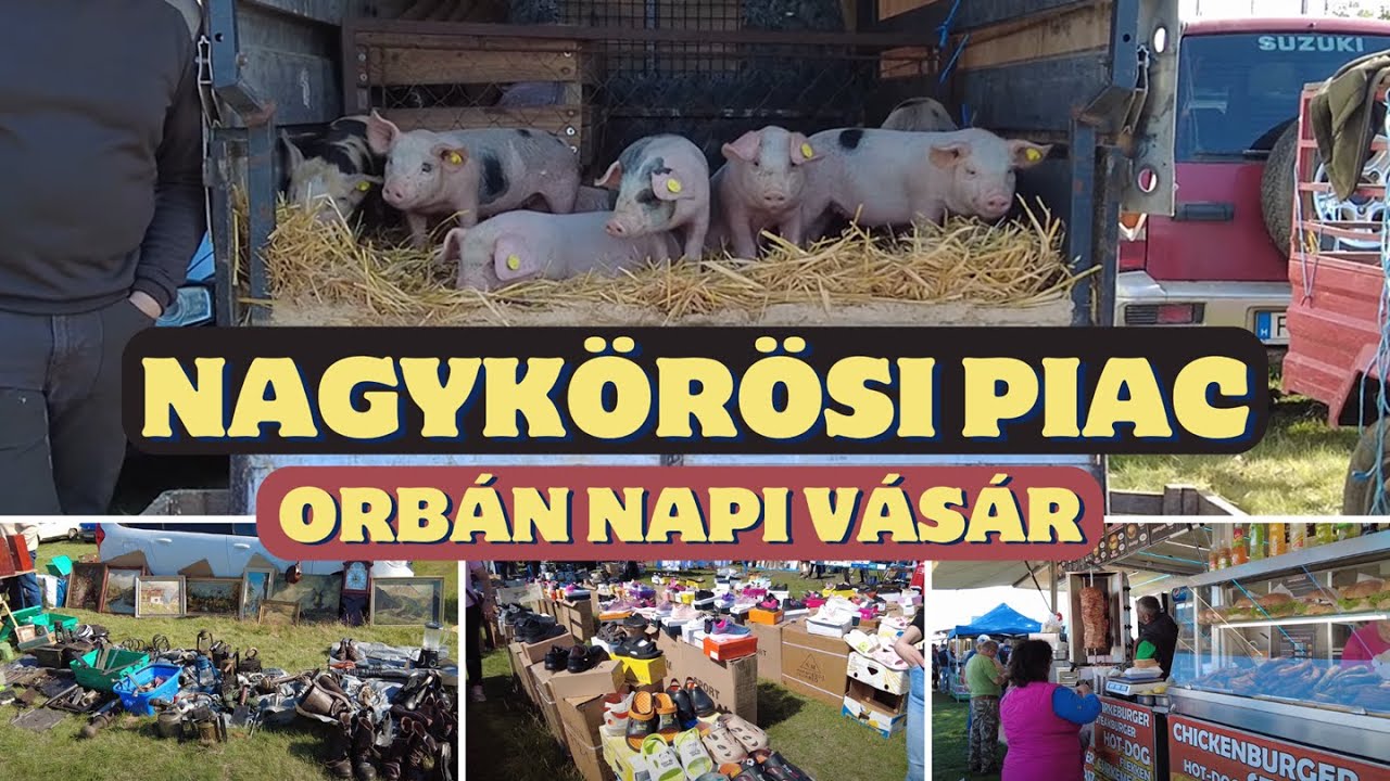 Orbán napi Nagykörösi Állat- és Kirakodóvásár - Bolhapiac  [4k Ultra HD 60fps]