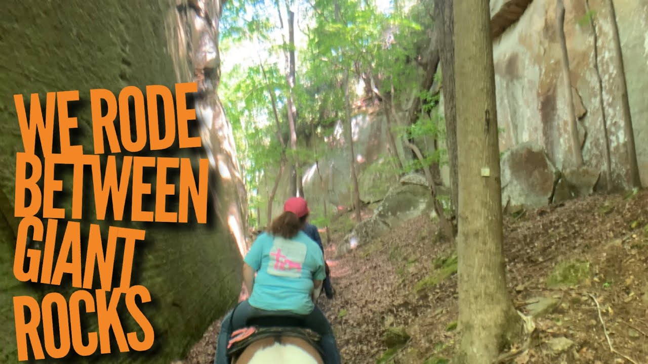 Seven Springs Lodge Horse Trail Review