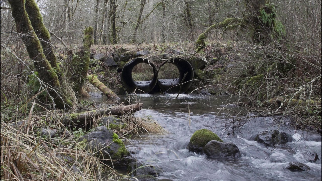 Suter Creek Fish Passage & Habitat Restoration Project