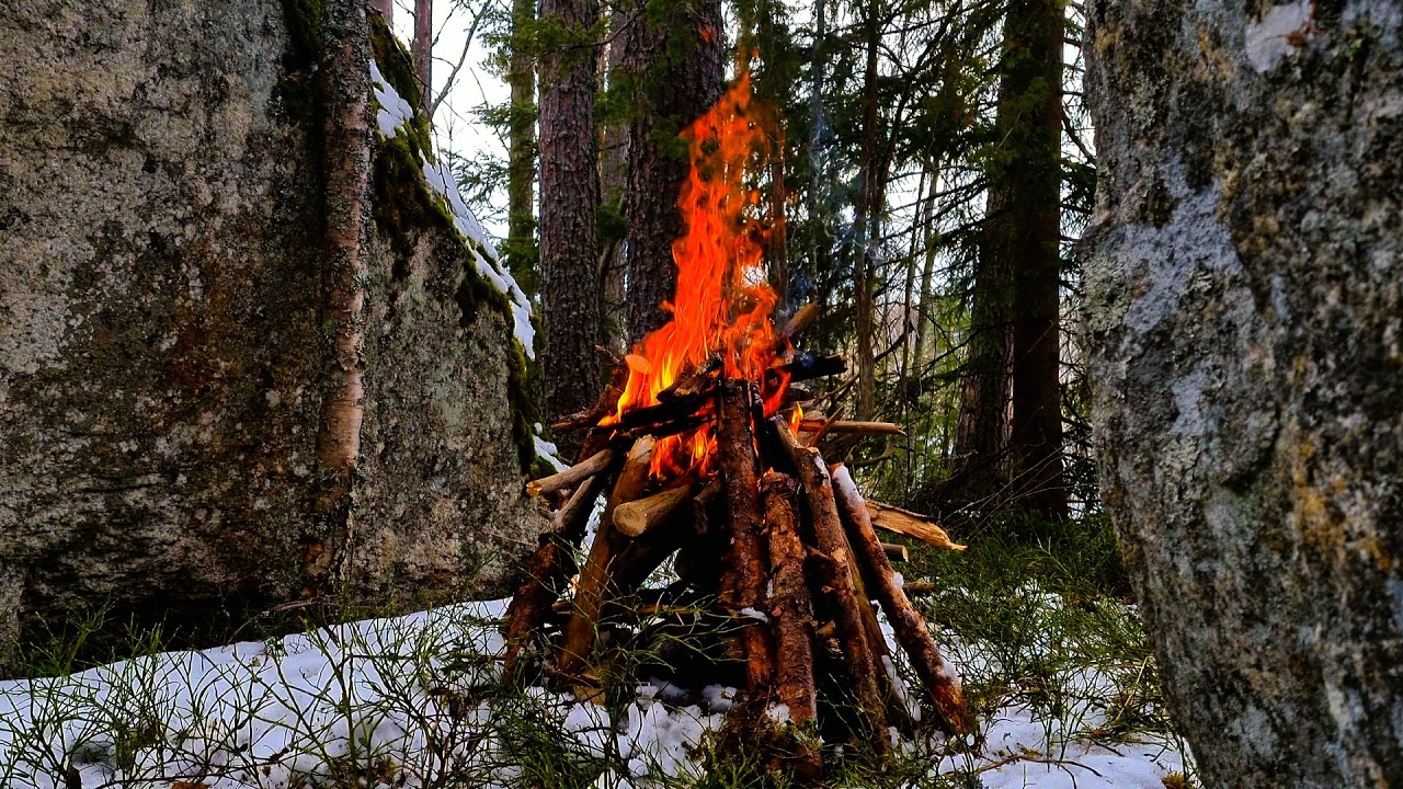 Find Your Peace by a Real Campfire 💤  | Join & Relax 110% 🔥