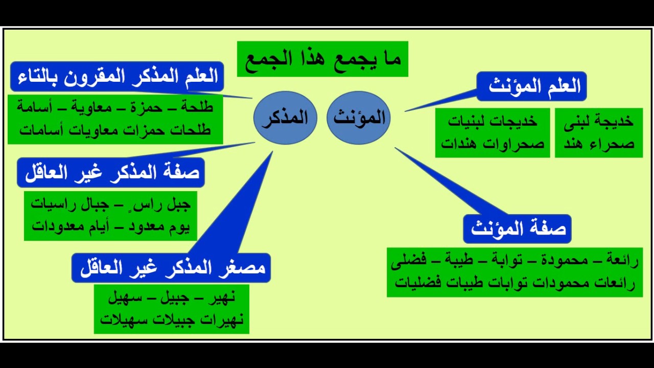 الإيجازُ المُسَهَّلُ في النَّحْوِ 11 جمع المؤنث السالم  والملحق بجمع المؤنث السالم  - عماد إبراهيم