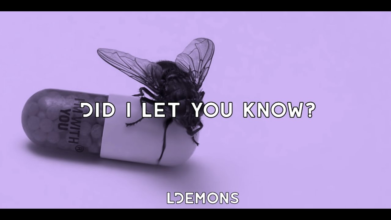 Did I Let You Know - Red Hot Chili Peppers [Lyrics]
