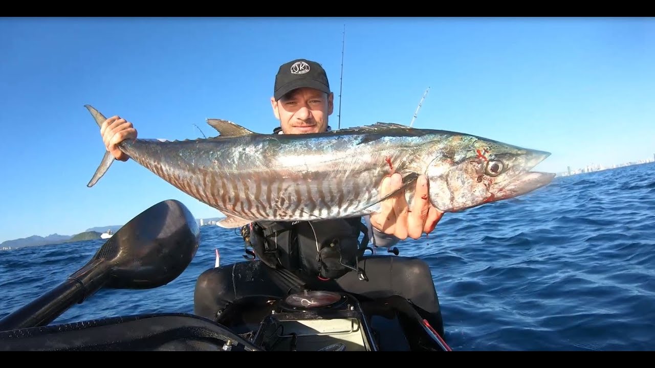 First SPANISH MACKEREL this season! | Kayak Fishing | GoldCoast, Queensland