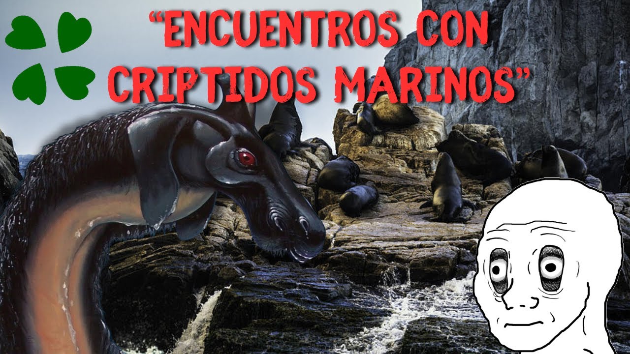 1 Hora de Historias De Terror 4Chan - Fantasmas, Criptidos, y Muñecos Poseídos.