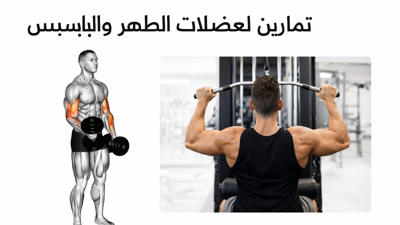 تمارين ظهر وبايسبس ترفع قوتك بسرعة ⚡ | Full Back & Biceps Workout