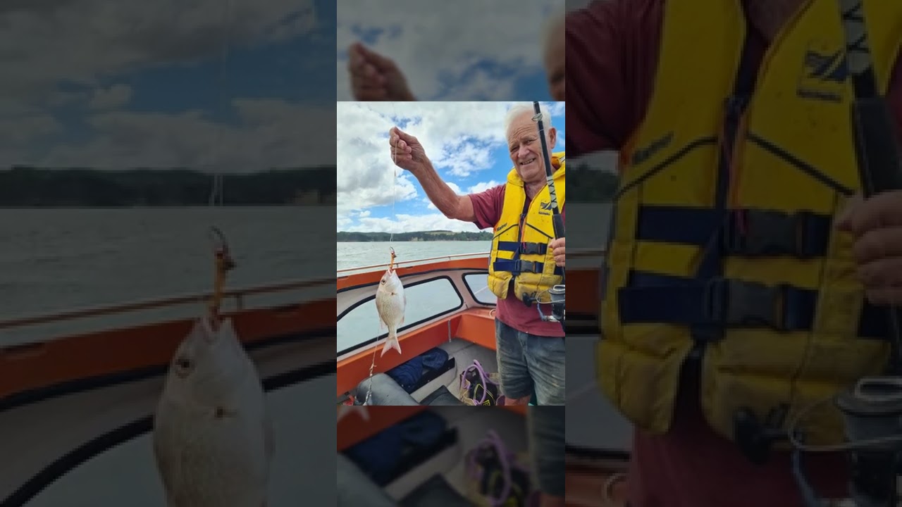 Fishing experience at Tinopai New Zealand