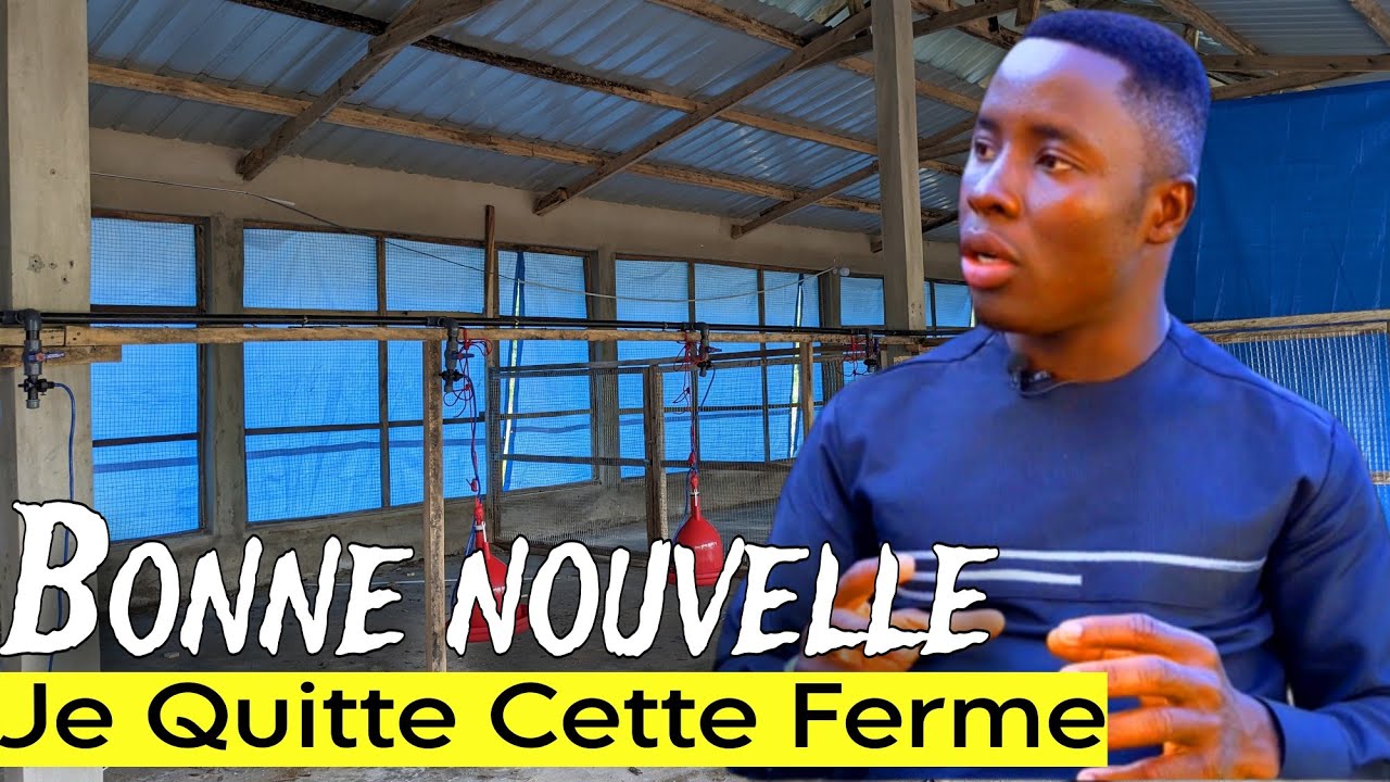 Je Quitte La Ferme Au Poulailler Sur Mesure, la RAISON EST PLUTÔT BONNE !