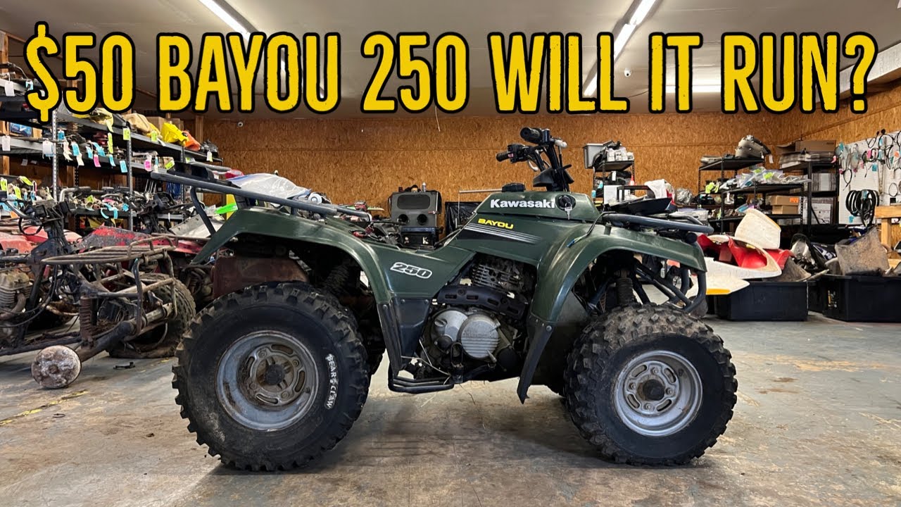Can a $50 Kawasaki Bayou be flipped to a $800 Profit.