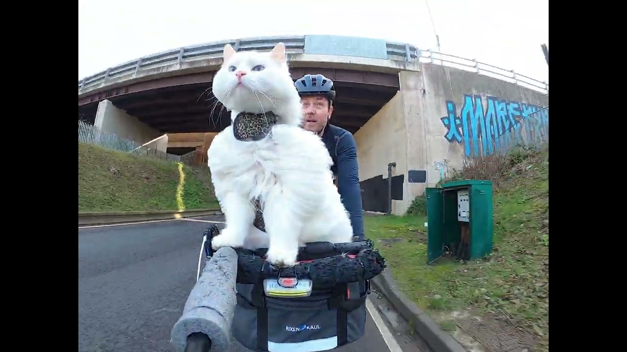 Once we escaped the muddy farm detour, we had a lovely quiet ride on to Luton for a coffee stop. 🐱☕