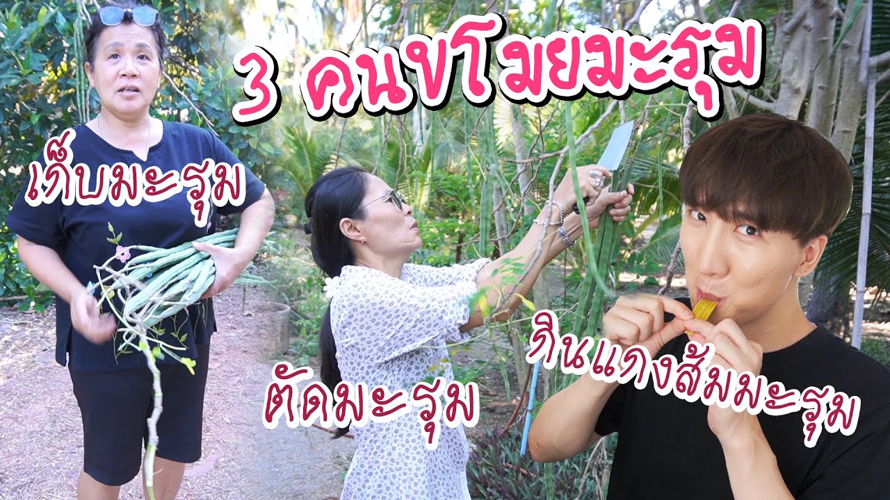[91] การขโมยมะรุมเป็นมะรุมที่อร่อยที่สุด~ : โอปป้า อยู่ที่บ้านนอก▕   RYUNTIME