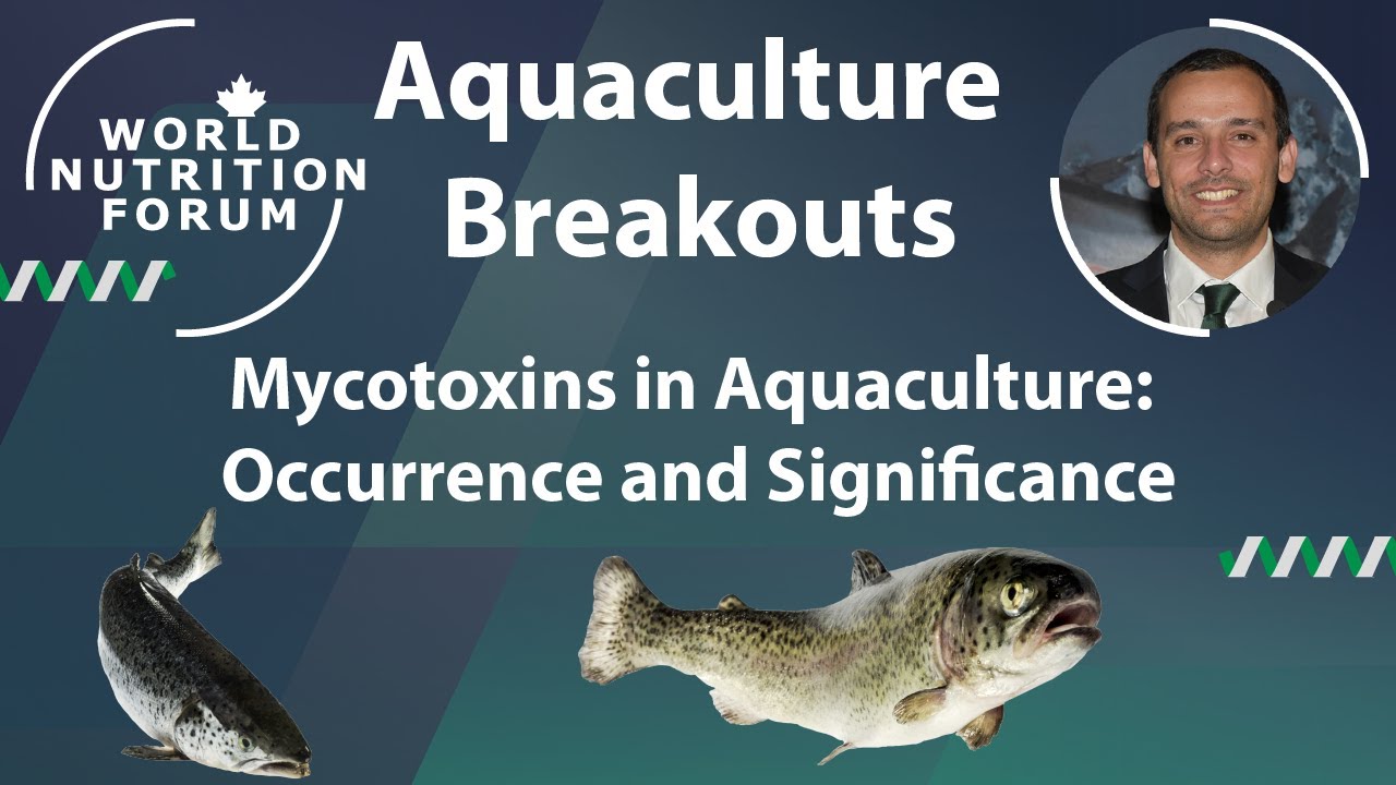 WNF 2016 Aquaculture Breakouts: 03 Mycotoxins in Aquaculture: Occurrence and Significance