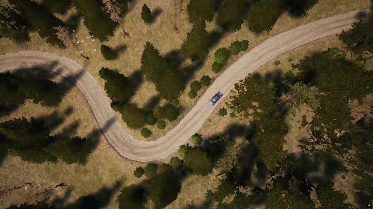 Setup Subaru Impreza 1995 (Grupo A) Hualqui Rally Chile EA WRC