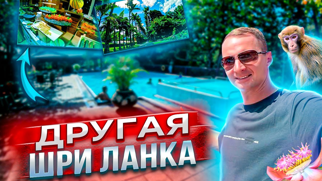 Другая Шри-Ланка. Все включено как в Турции? Самый дорогой чай