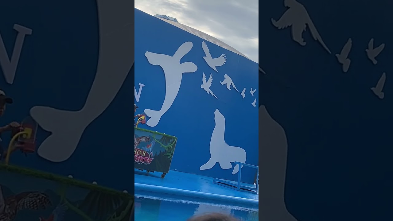 Ocean Park 2024