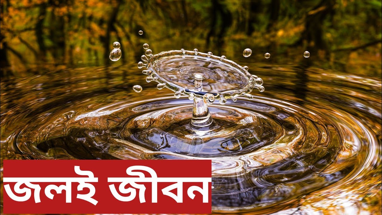 World Water Crisis Documentary | Explorer Sayan | In Bengali