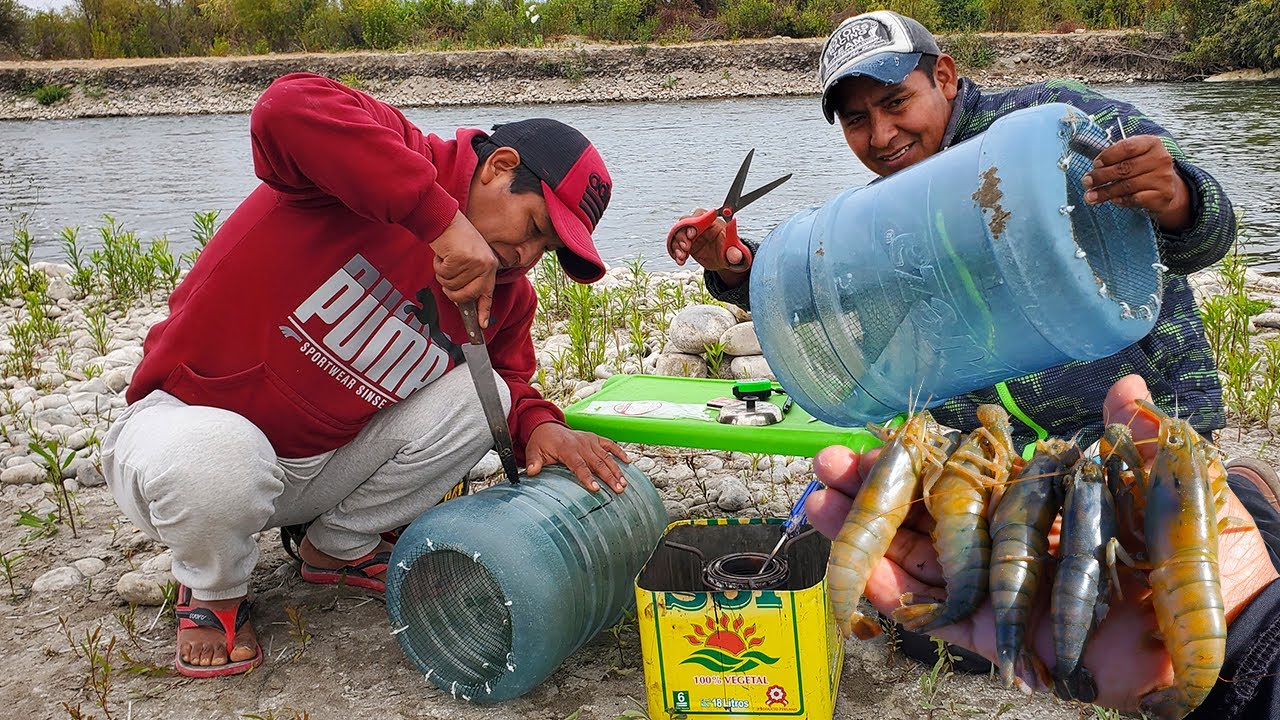 COMO HACER TRAMPA PARA CAMARONES LANGOSTINOS DE RÍO - river shrimp trap