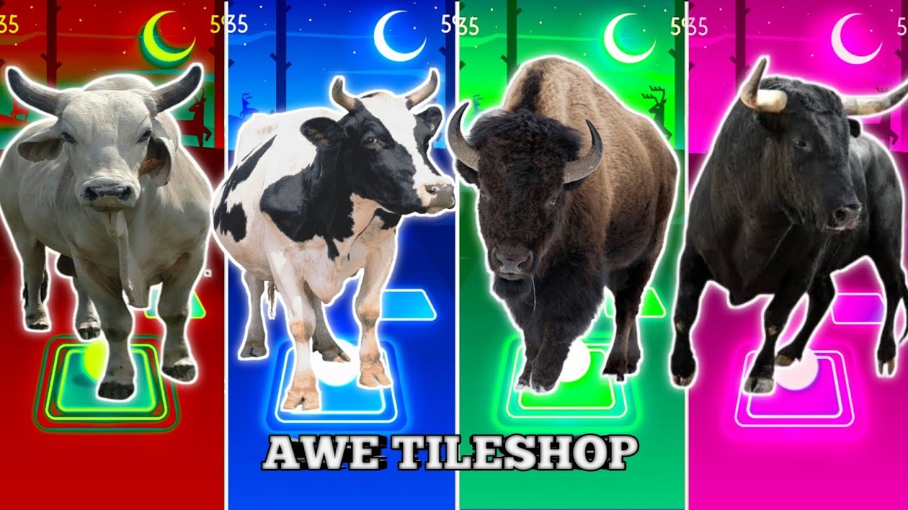 Funny Bull White 🐂🆚 Funny Cow 🐄🆚 Funny Bison 🦬🆚 Funny Bull 🐂|Coffin Dance Tiles Hop 🪩🌈🔥🎊💥