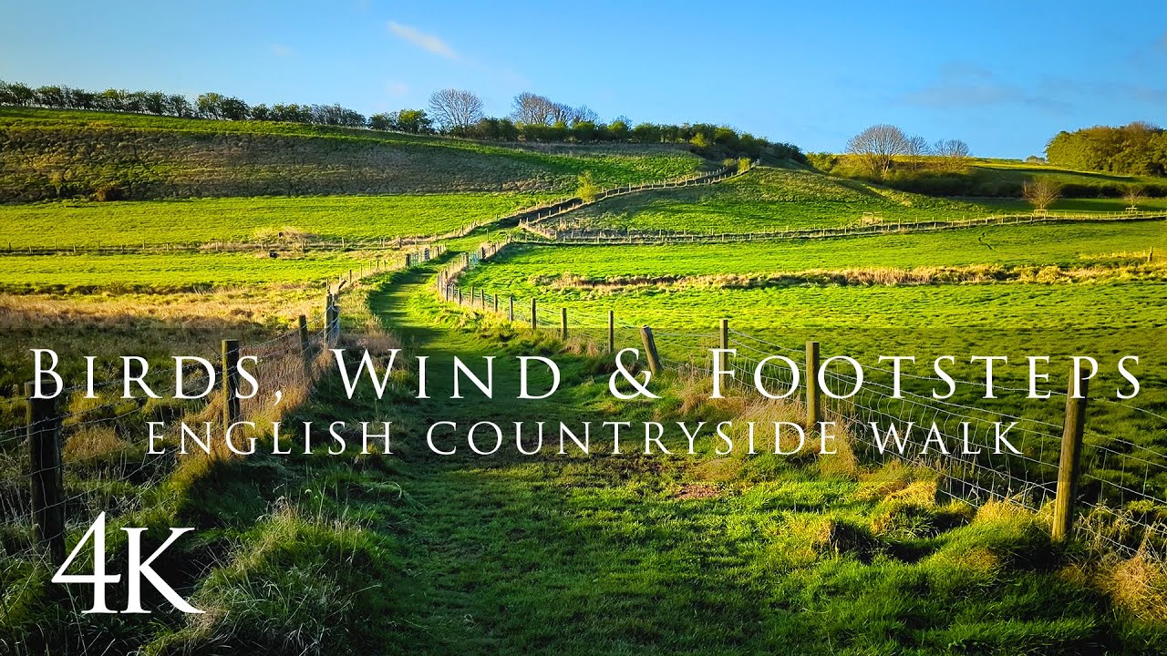 Relaxing Nature Walking Tour, Lincolnshire Wolds National Landscape, Sunrise, Birdsong in 4K