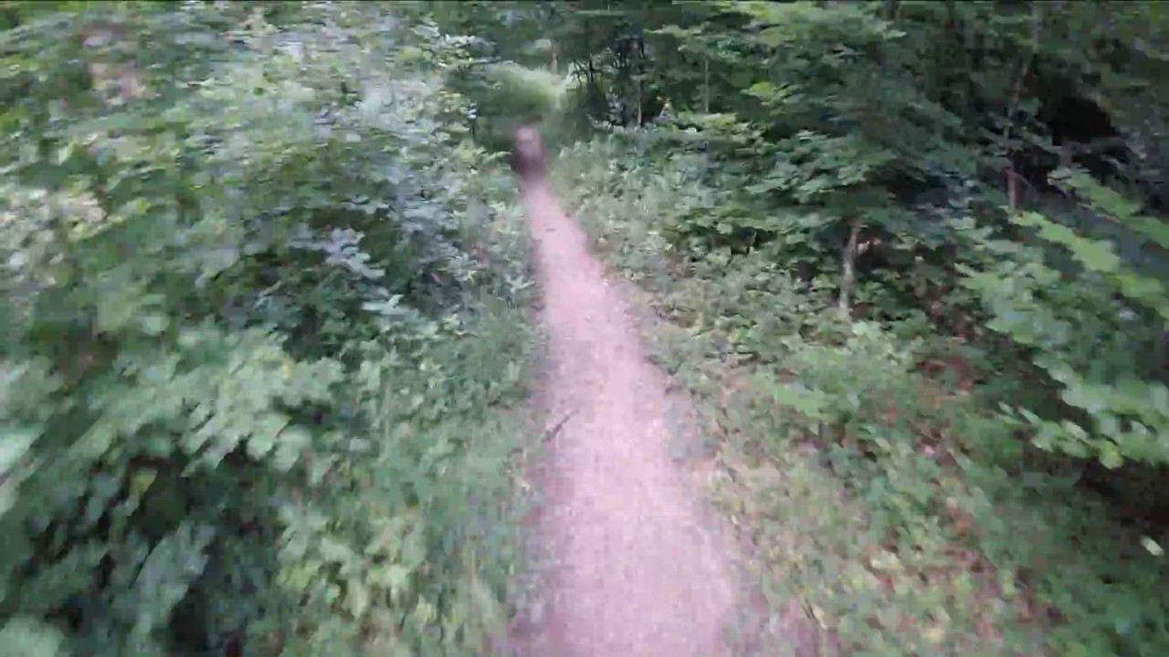 Freeride Gaisberg / Salzburg