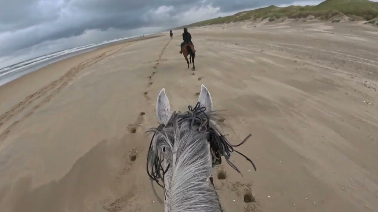 strandrit galop3