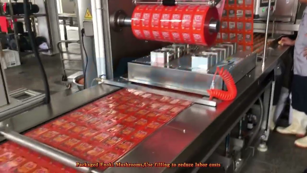 Quantitative filling + vacuum Enoki mushroom thermoforming vacuum packaging machine #mushroom