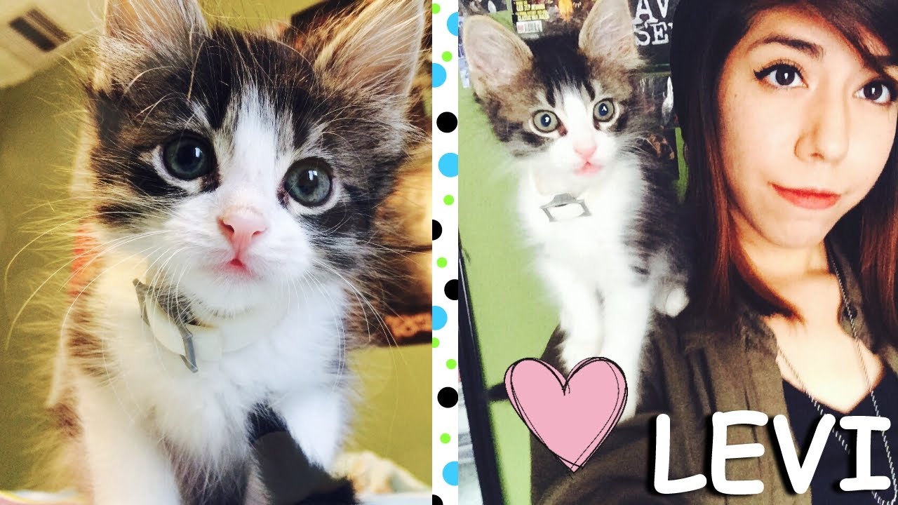 Meet Levi