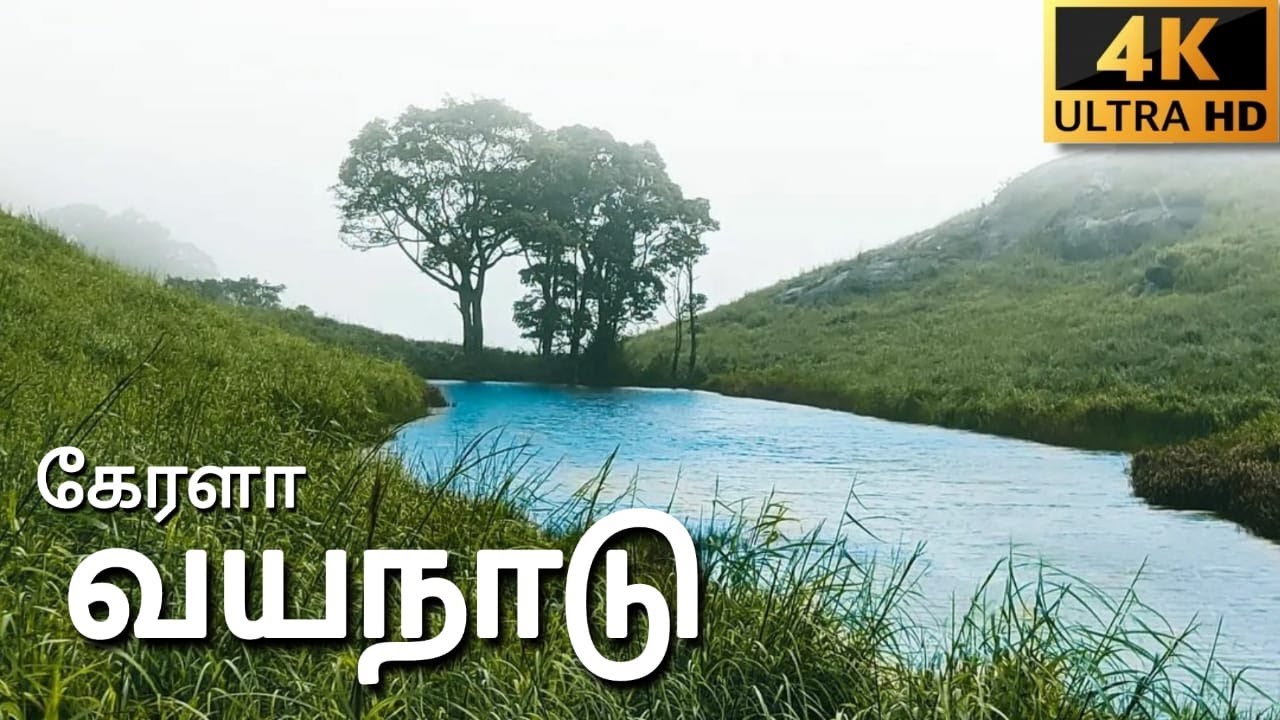 wayanad kerala place to visit complete guidance in tamil yengadapora 4k
