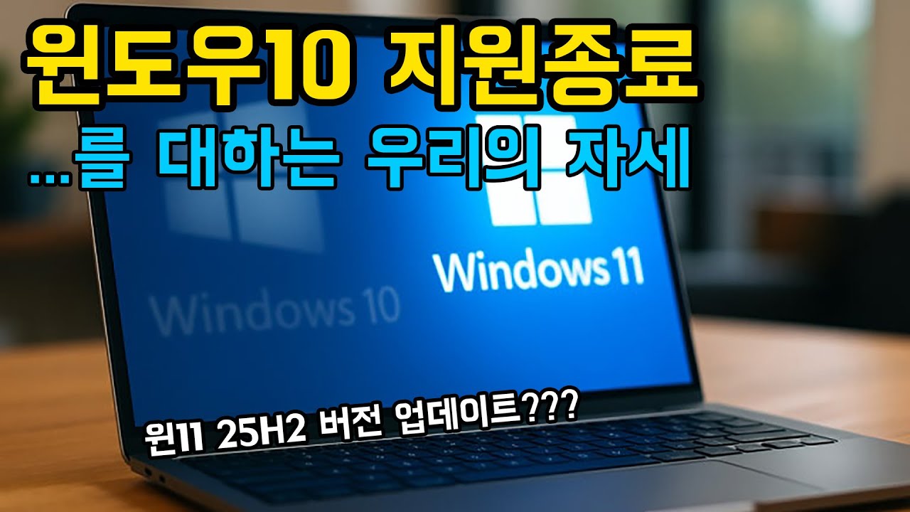 대하 전어 가을야구 윈도우10 지원 종료