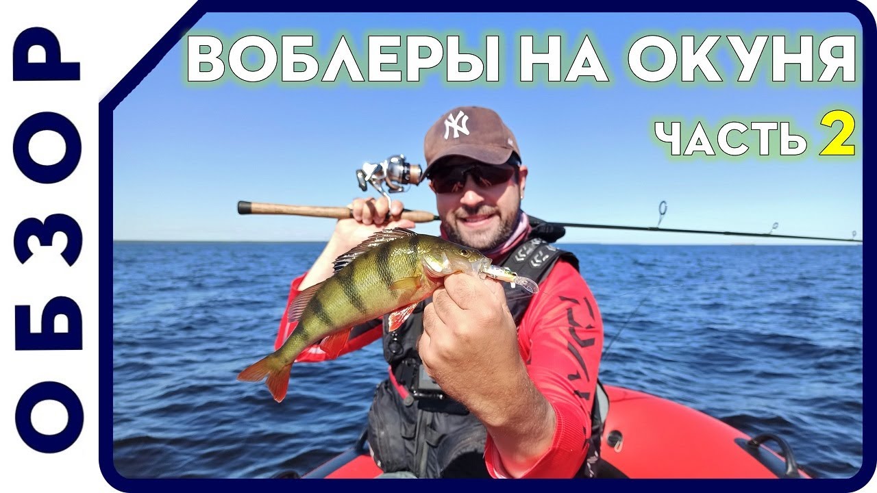 РЫБОЛОВНЫЕ СЕКРЕТЫ.  Рыбалка на окуня.  Обзор воблеров на окуня.  ЧАСТЬ 2. КРЕНКИ И ШЕДЫ