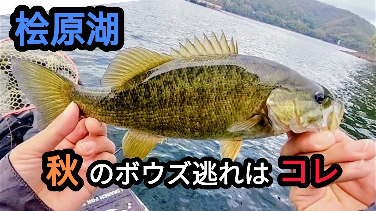 【桧原湖バス釣り】秋の坊主逃れはコレ！【10月20日】