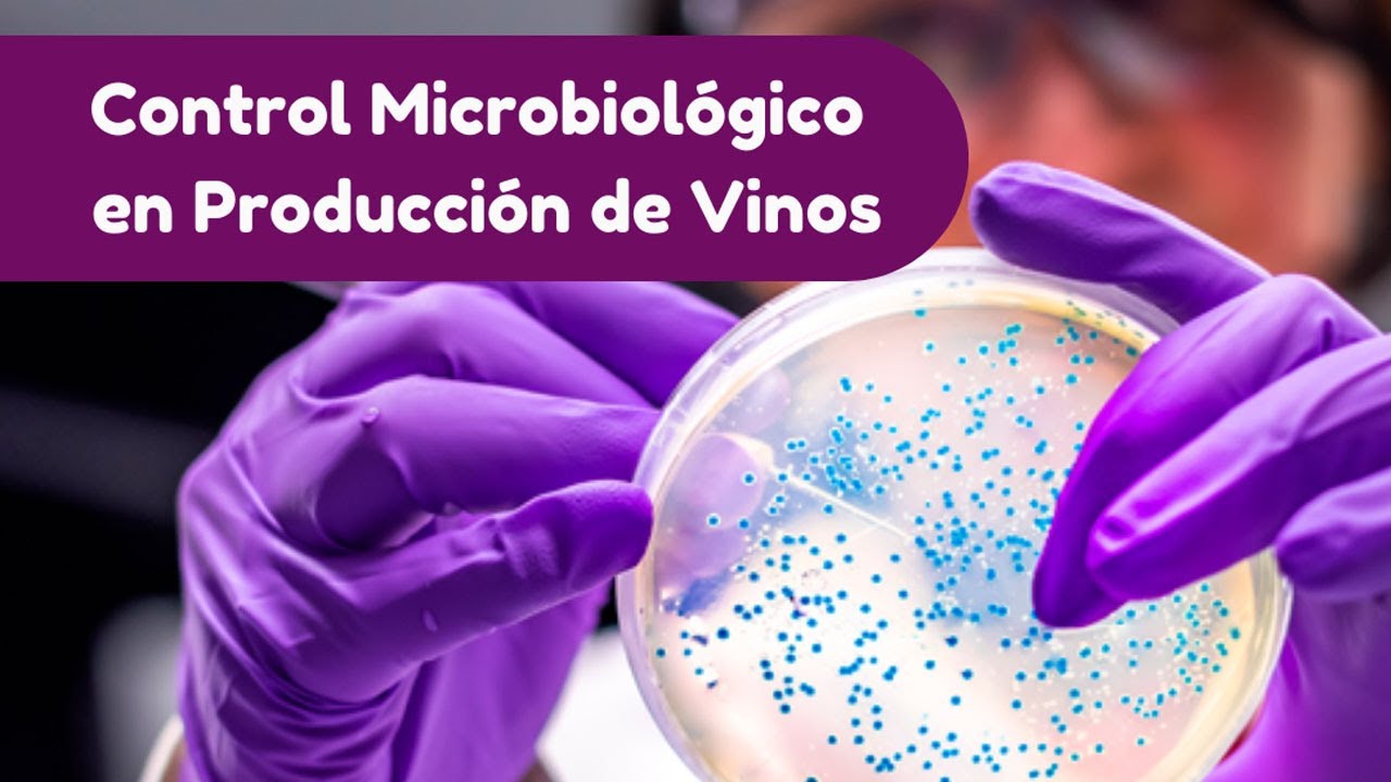 Control Microbiológico en Producción de vinos