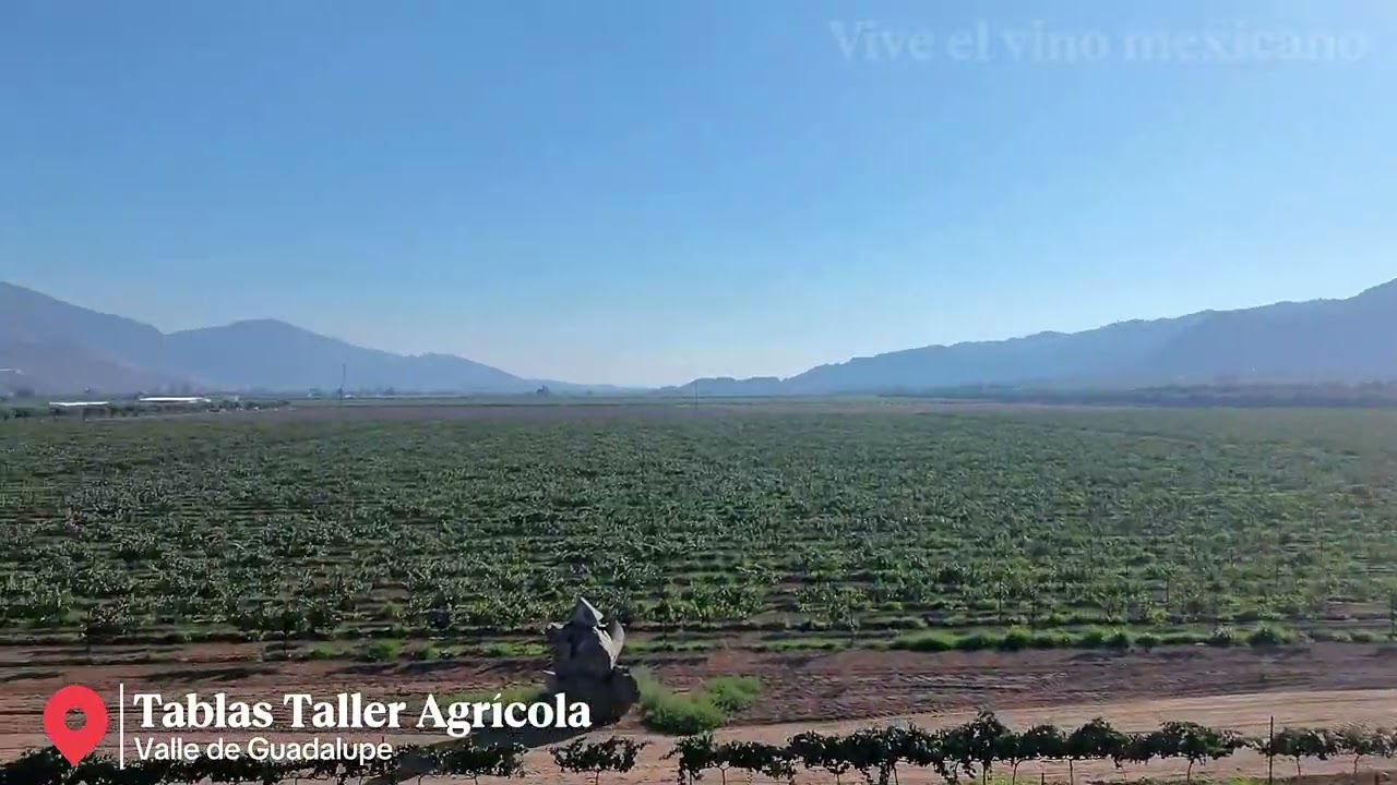 Video para relajarse 🤩 tomate un momento y Disfruta 