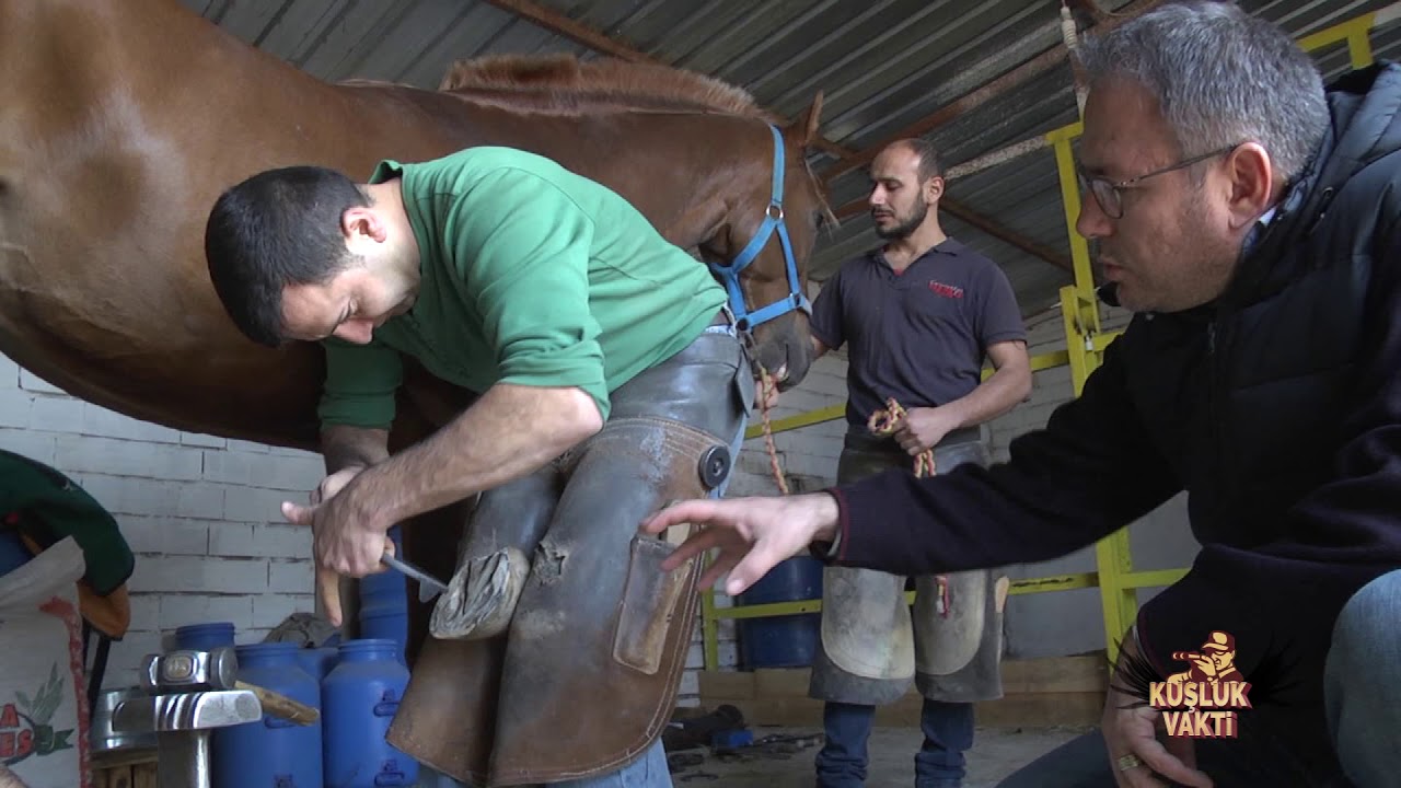 kuşluk vakti 51. bölüm. 