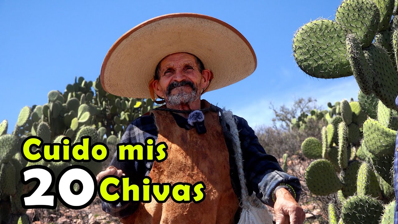 A sus 85 AÑOS sube al cerro todos los días