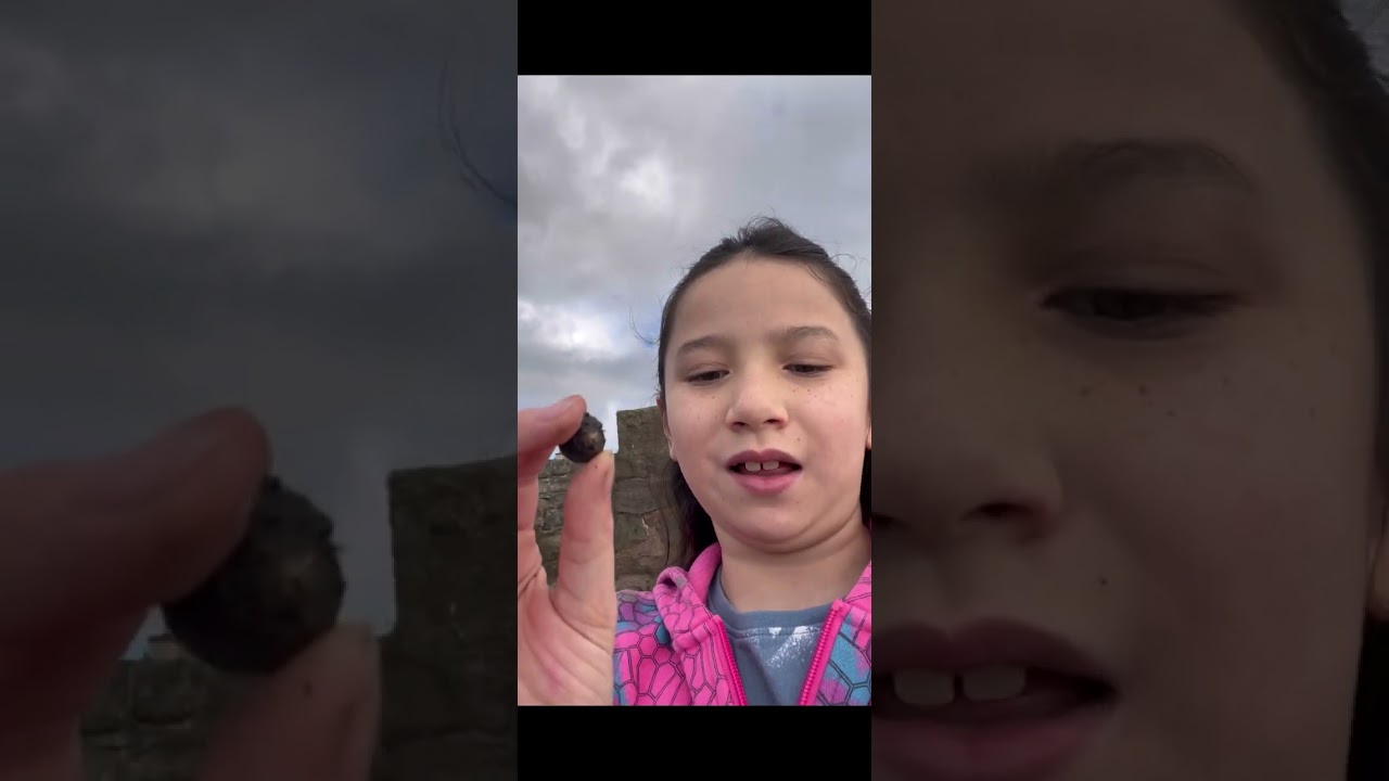 Meg adventure at Limekilns Harbour